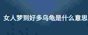 女人夢到好多烏龜是什么意思