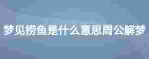 夢見撈魚是什么意思周公解夢