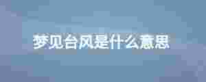 夢見臺風是什么意思