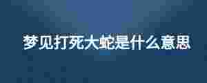夢見打死大蛇是什么意思