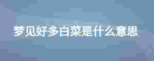 夢見好多白菜是什么意思