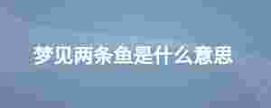 夢見兩條魚是什么意思