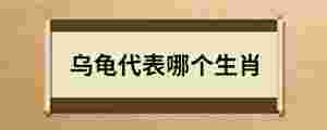 烏龜代表哪個生肖
