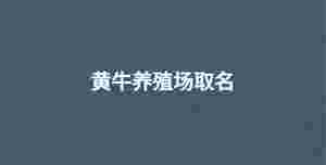 深色背景 - 2022-09-17T111203.678.jpg