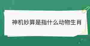 開學季 - 2022-10-26T131306.374.jpg