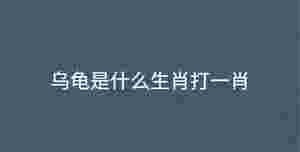 深色背景 - 2022-10-26T102619.302.jpg