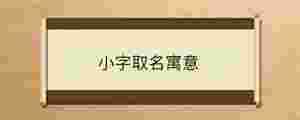 小字取名寓意