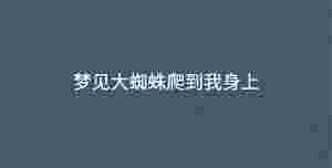 深色背景 - 2023-03-14T144131.677.jpg