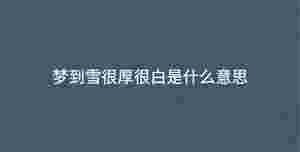 深色背景 - 2023-05-10T133821.444.jpg