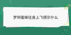 開學(xué)季 - 2023-05-10T112053.727.jpg