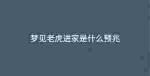 深色背景 - 2023-05-15T134223.249.jpg