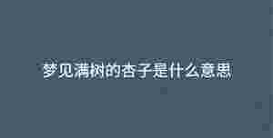 深色背景 (47).jpg