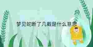 小孩起名 - 2023-08-24T094553.895.jpg