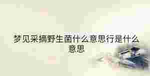 傳統 - 2023-08-24T114547.939.jpg