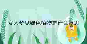 小孩起名 - 2023-08-30T092015.698.jpg