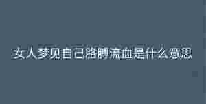 深色背景 - 2023-08-30T093301.049.jpg