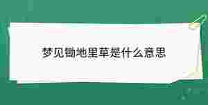 開學季 - 2023-08-31T114010.354.jpg