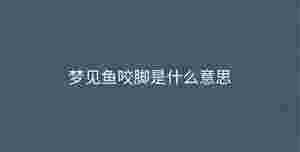 深色背景 - 2023-08-31T144705.510.jpg