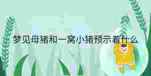 小孩起名 - 2023-08-31T094136.580.jpg