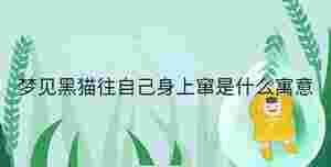 小孩起名 - 2023-08-31T151406.402.jpg