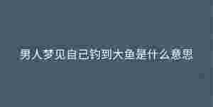 深色背景 - 2023-09-01T094724.991.jpg