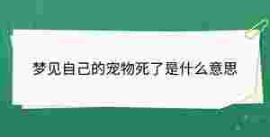 開學(xué)季 - 2023-09-02T113855.310.jpg