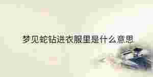 傳統(tǒng) - 2023-09-02T133651.001.jpg