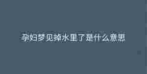 深色背景 - 2023-09-04T095058.549.jpg