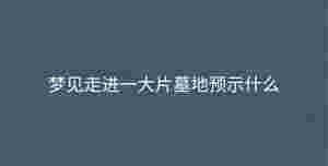 夢見走進一大片墓地預示什么