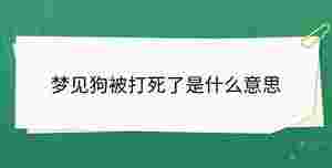 開學(xué)季 - 2023-09-05T135438.986.jpg