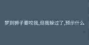 深色背景 - 2023-09-06T160607.182.jpg