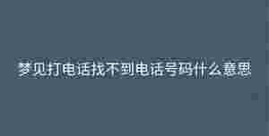 深色背景 - 2023-09-08T110639.344.jpg