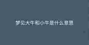 深色背景 - 2023-09-08T094843.635.jpg