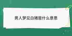 開學(xué)季 - 2023-09-08T161230.001.jpg