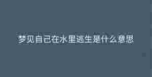 深色背景 - 2023-09-08T150222.225.jpg