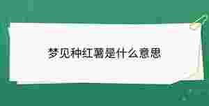 開學季 - 2023-09-08T140311.073.jpg