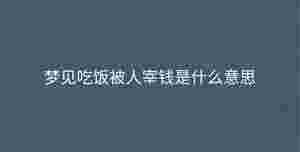 深色背景 - 2023-09-12T140504.259.jpg