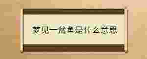 夢見一盆魚是什么意思