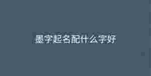 深色背景 - 2023-10-10T131250.788.jpg