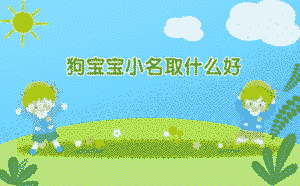 狗寶寶小名取什么好