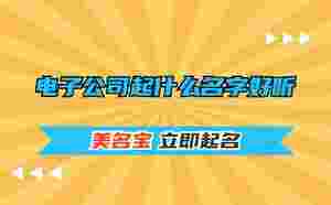電子公司起什么名字好聽