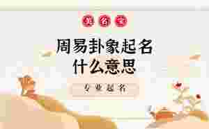 周易卦象起名什么意思