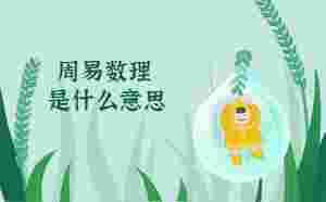 周易數理是什么意思