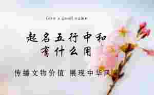 起名五行中和有什么用