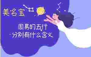 周易的五行分別有什么含義