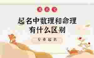 起名中數理和命理有什么區別